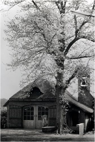 Het kapelletje van Binderen in Helmond in 1955. Fotograaf Jos Pé.