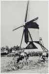 De windmolen aan de Hoofdstraat. Fotograaf F. de Vries